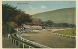 Picture of Races, Penang