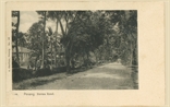 Picture of Burmah Road