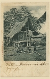 Picture of Native House in Jungle