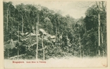 Picture of Gold Mine in Pahang