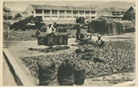 Picture of Indian Coolies  Drying Copra