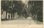 Picture of Mc Allister Road